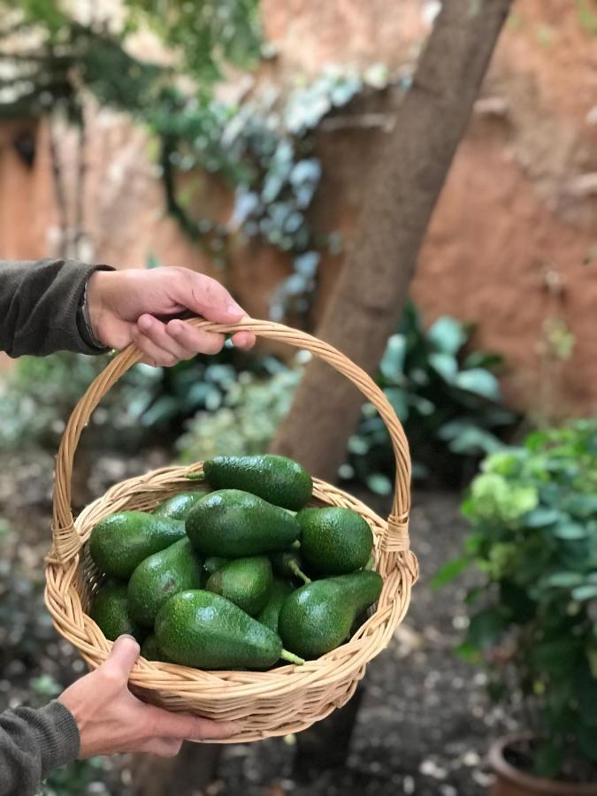 Dar Dadicilef Hotell Chefchaouen Eksteriør bilde